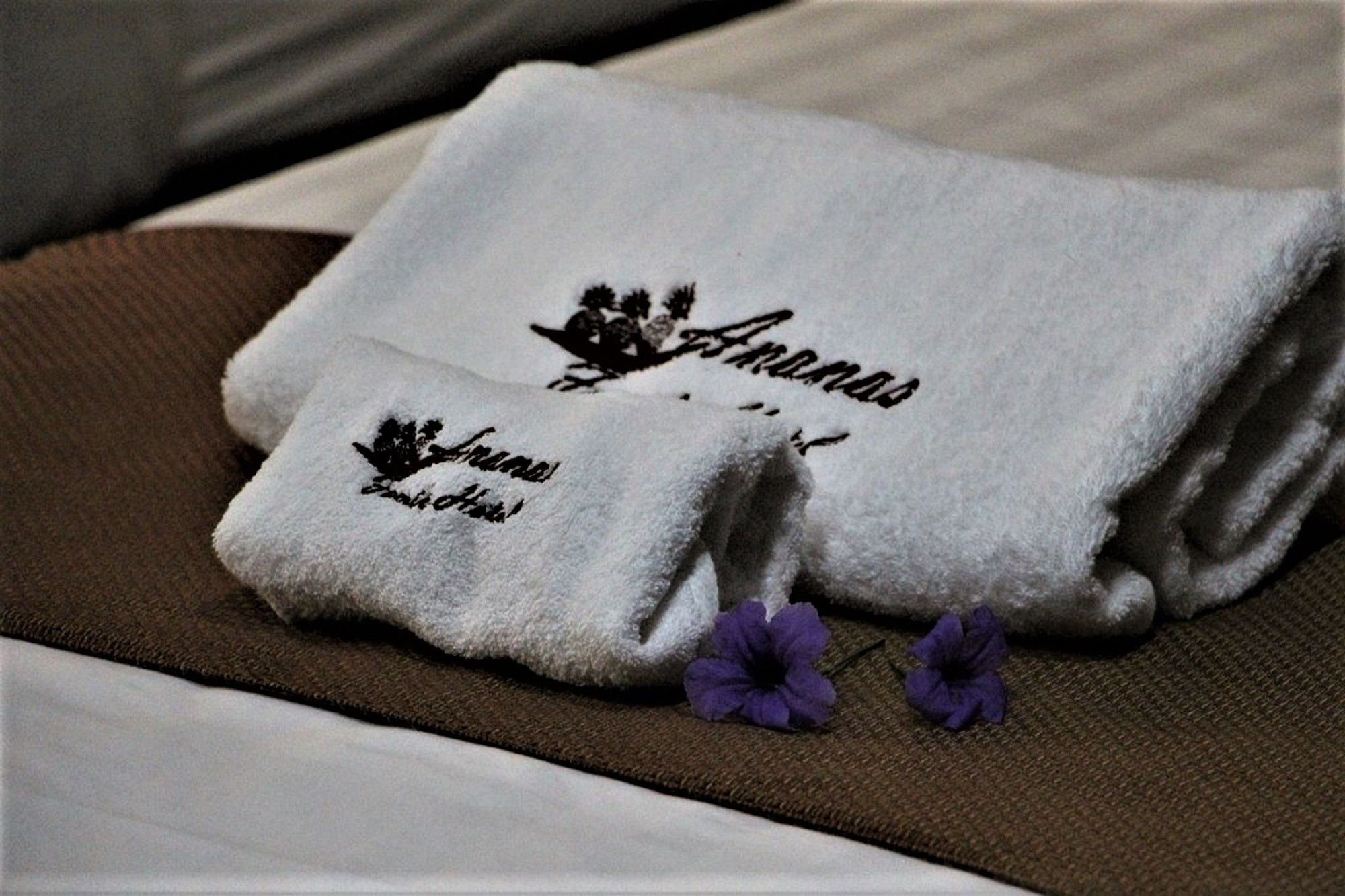 Ananas Family Hotel Bandar Ho Chi Minh Luaran gambar